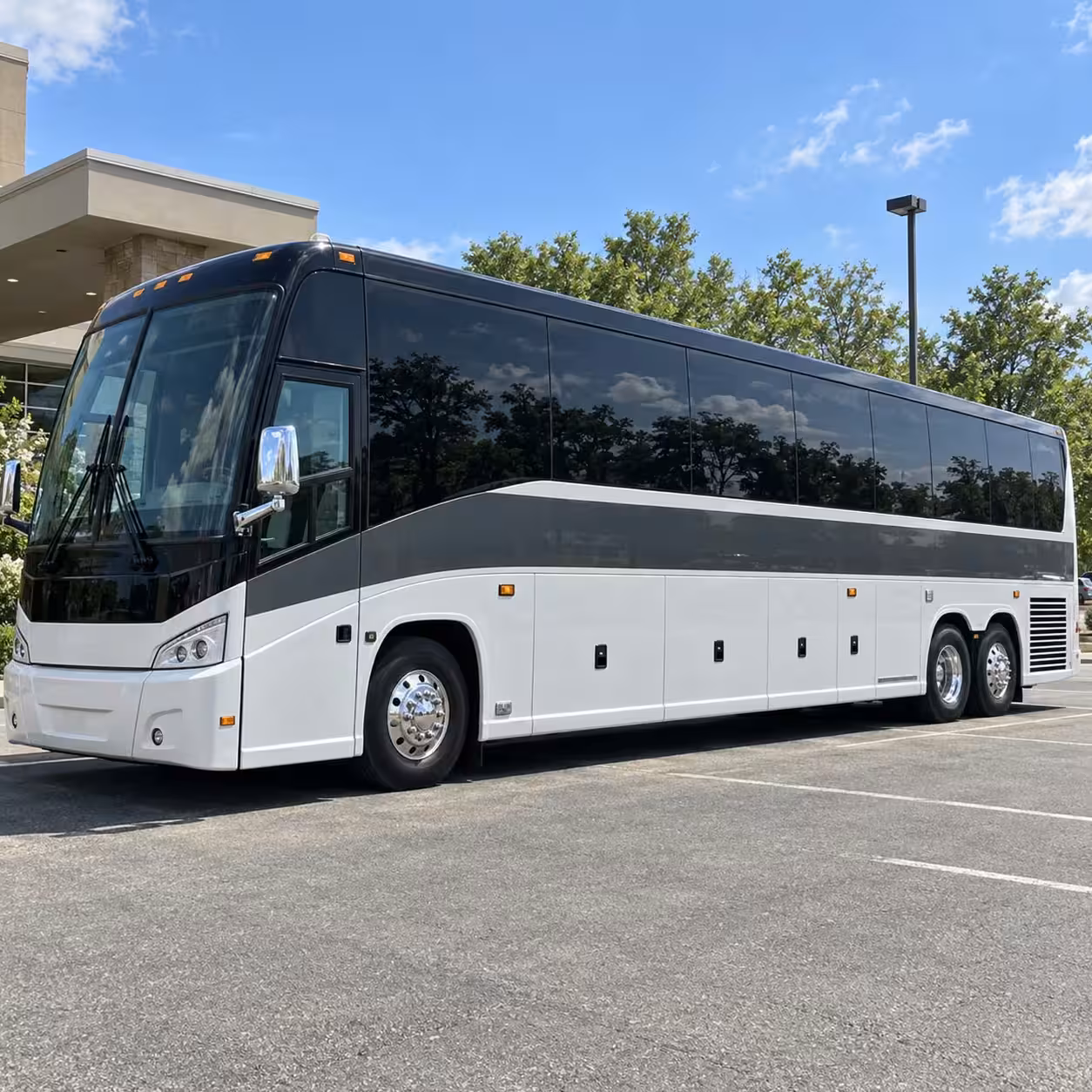 56 passenger charter bus