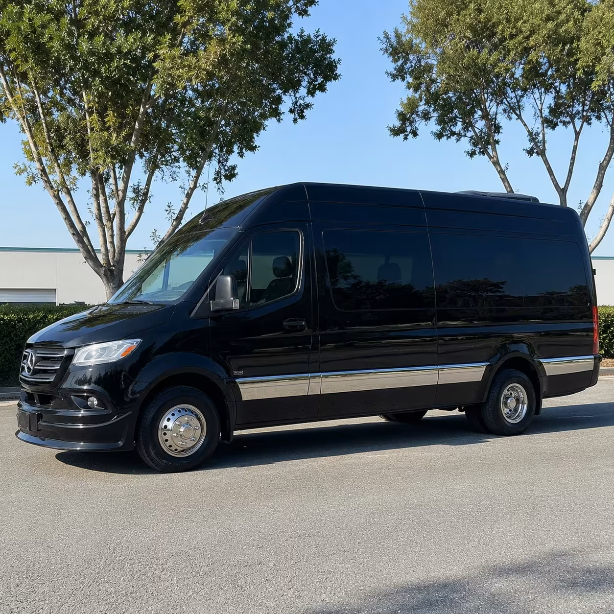 sprinter van with driver